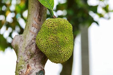 一年一度 《动物森友会》狸克商店黑五优惠又开始了